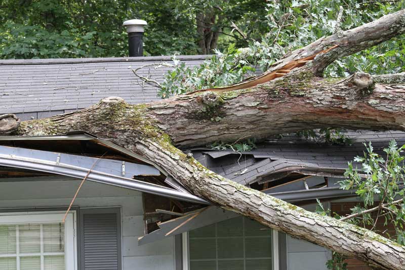 Shingle Roof Repair